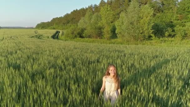 美丽的姑娘日落时在麦田里散步 空中看到4K — 图库视频影像