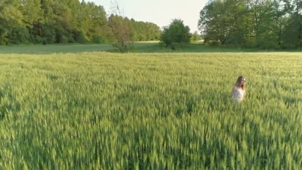 Hermosa Chica Caminando Campo Trigo Atardecer Volando Alrededor — Vídeos de Stock