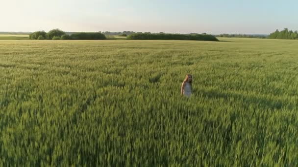 Krásná Dívka Kráčí Pšeničném Poli Při Západu Slunce Létání Kolem — Stock video