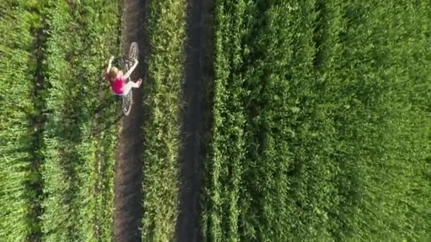 Cute Young Girl Bicycle Green Field Summer Drone Shooting — Stock Video
