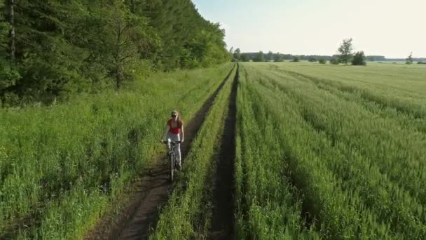 Menina Bonito Bicicleta Campo Verde Verão Drone Tiro — Vídeo de Stock