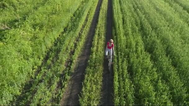 Linda Chica Joven Bicicleta Campo Verde Verano Drone Tiro — Vídeos de Stock