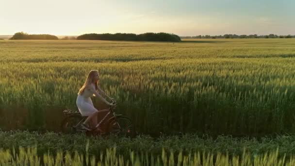 Schattig Jong Meisje Fiets Groen Veld Bij Zonsondergang Drone Schieten — Stockvideo