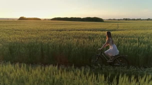 Cute Young Girl Bicycle Green Field Sunset Drone Shooting — Stock Video