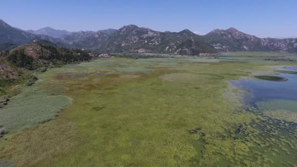 Vista Aérea Del Lago Skadar Montenegro Verano — Vídeo de stock