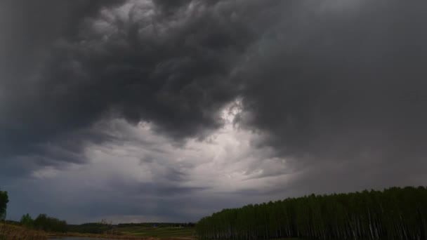 Nubes Tormenta Oscura Mueven Rápidamente Sobre Bosque Timelapse — Vídeos de Stock