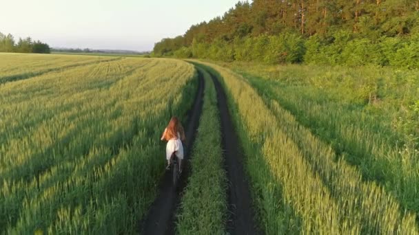 Schattig Jong Meisje Fiets Groen Veld Bij Zonsondergang Drone Schieten — Stockvideo