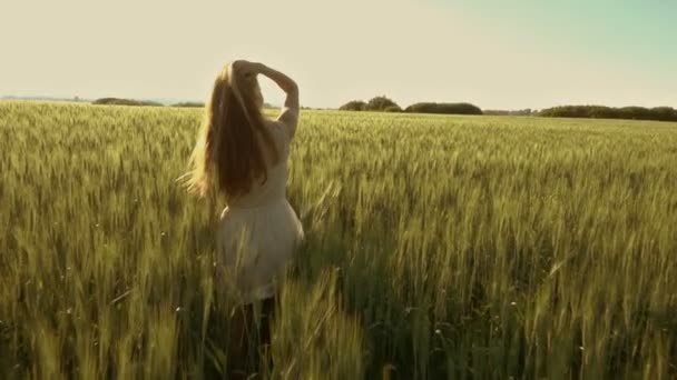Mooi Meisje Wandelen Een Tarwe Veld Bij Zonsondergang Slow Motion — Stockvideo