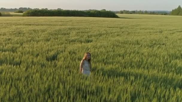 Krásná Dívka Kráčí Pšeničném Poli Při Západu Slunce Létání Kolem — Stock video
