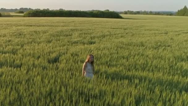 Mooi Meisje Wandelen Een Tarweveld Bij Zonsondergang Vliegen Rond — Stockvideo