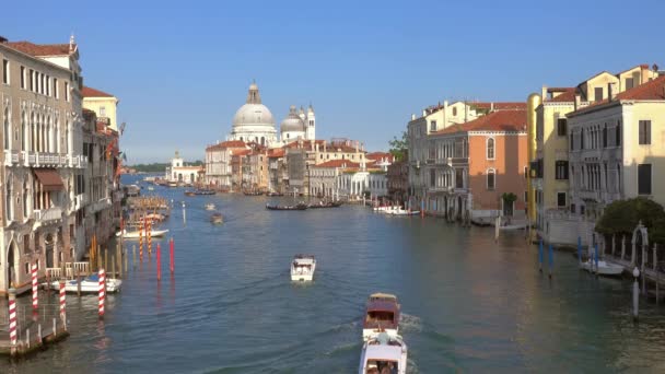 Canal Grande Und Basilika Santa Maria Della Salute Venedig Italien — Stockvideo