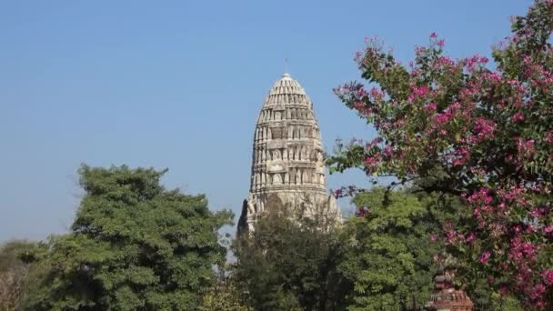 Древний Храм Ват Ратчабурана Историческом Парке Аютхая Таиланд — стоковое видео