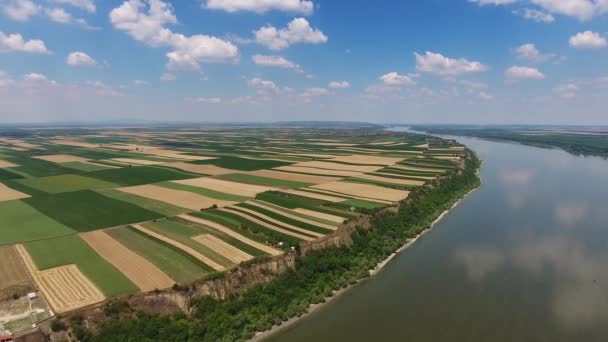 Vista Aérea Campos Coloridos Margem Alta Rio Danúbio Sérvia — Vídeo de Stock