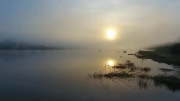 夜明け 4Kで霧の中で川の表面上の飛行 — ストック動画
