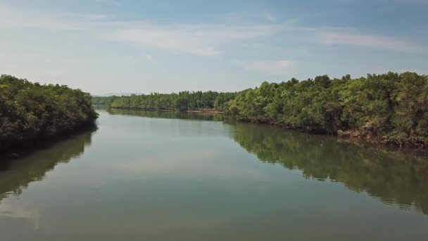 Létání Přes Řeku Mezi Mangrovovým Lesem Provincii Phang Nga Thajsko — Stock video