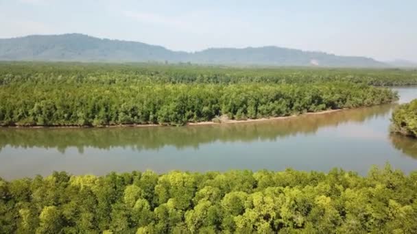 Vista Aérea Sobre Manguezais Estuários Florestais Estendem Montanhas Província Phang — Vídeo de Stock