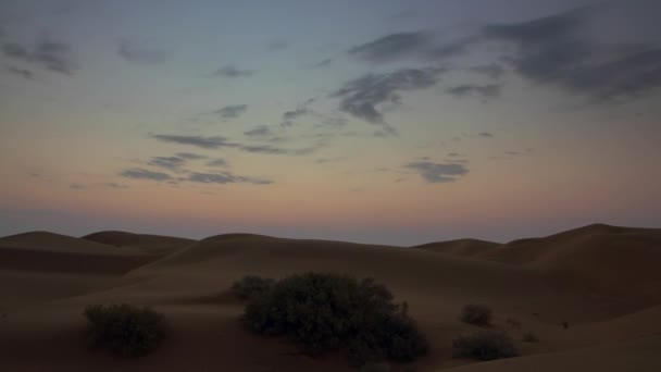 Рассвет Пустыне Тар Индия Таймлапс — стоковое видео