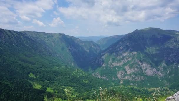 Karadağ Durmitor Kentindeki Parkta Dağlarla Çevrili Manzara Zamanlamasını Yakınlaştırıyor — Stok video