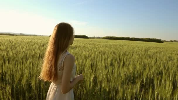 Hermosa Chica Caminando Campo Trigo Atardecer Cámara Lenta — Vídeos de Stock