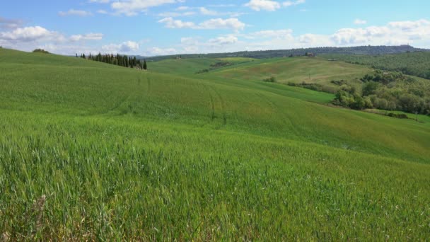 トスカーナの風景 イタリア ヨーロッパ 4Kの農地の丘のフィールド — ストック動画