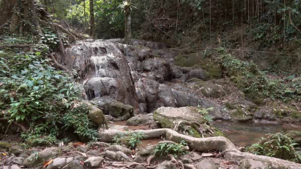 Nang Manora Vodopád Provincii Phang Nga Thajsko — Stock video