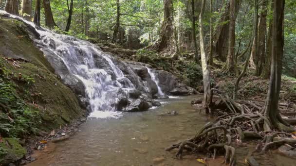 Cascata Nang Manora Nella Provincia Phang Nga Thailandia — Video Stock