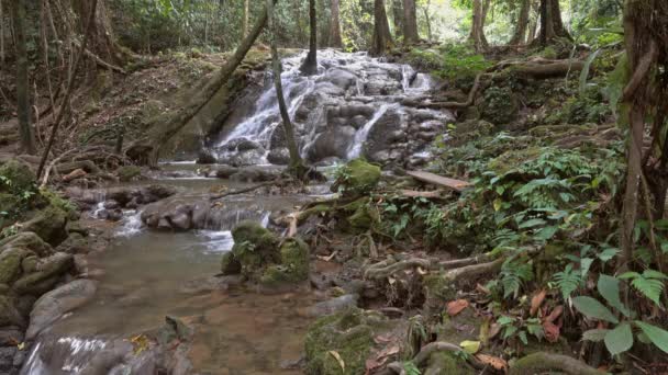 Nang Manora Vattenfall Phang Nga Provinsen Thailand — Stockvideo