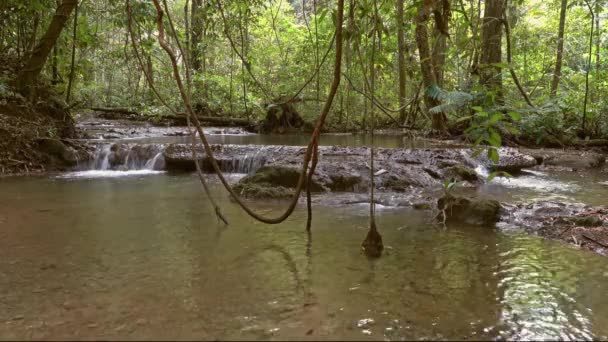 Cascada Nang Manora Provincia Phang Nga Tailandia — Vídeos de Stock