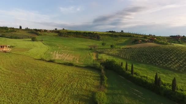 Toskania Powietrzny Wschód Słońca Farmland Hill Krajobraz Kraju Włochy Europa — Wideo stockowe