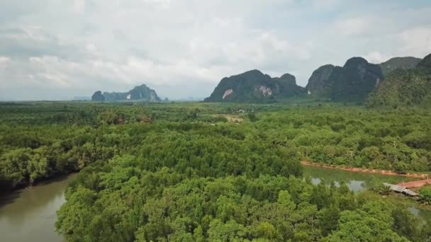 泰国克拉比省山区附近有河口和海峡的红树林森林中河流的空中景观 — 图库视频影像