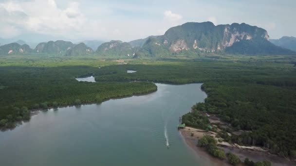 Αεροφωτογραφία Στο Ποτάμι Στο Δάσος Μανγκρόουβ Εκβολές Και Στενά Κοντά — Αρχείο Βίντεο
