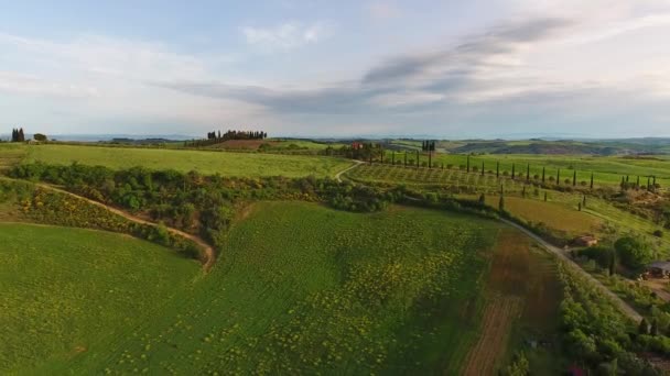 トスカーナ航空日の出農地の丘の国の風景です イタリア ヨーロッパ — ストック動画