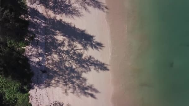 Vídeo Aéreo Belleza Playa Desierta Con Sombras Palmeras Mar Tranquilo — Vídeos de Stock