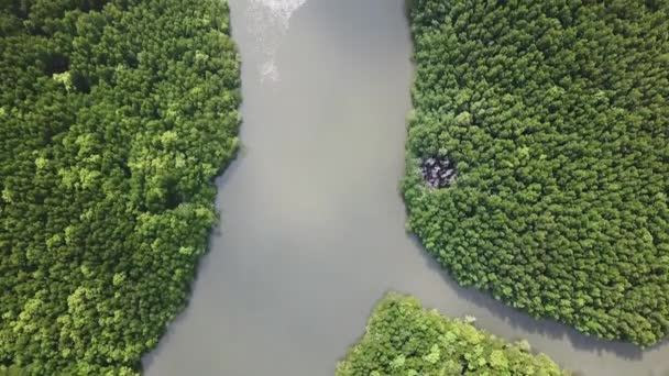 Flygfoto Över Mangrove Skogsflodmynningar Sund Krabi Provinsen Thailand — Stockvideo