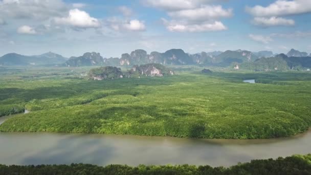 Luftaufnahme Von Mangrovenwäldern Mündungen Meerenge Berge Der Provinz Krabi Thailand — Stockvideo