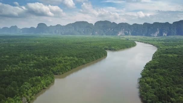 在泰国Krabi省红树林森林之间的河流上空飞行 — 图库视频影像