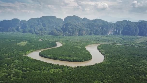 Widok Powietrza Ujścia Lasów Namorzynowych Cieśnina Góry Prowincji Krabi Tajlandia — Wideo stockowe