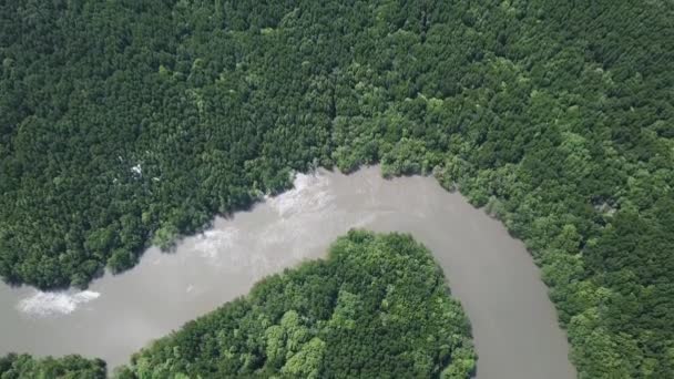 Bovenaanzicht Vanuit Lucht Rivier Tussen Mangrovebos Provincie Krabi Thailand — Stockvideo