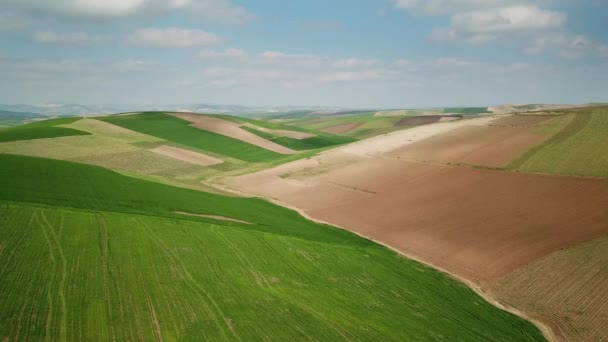 Antenn Landskap Med Kuperade Jordbruksfält Marocko Afrika — Stockvideo