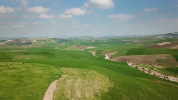 Légi Táj Dombos Mezőgazdasági Mezőkkel Marokkóban Afrikában — Stock videók