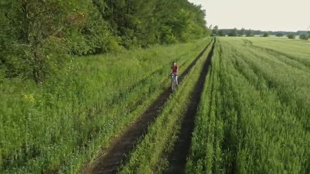 Linda Chica Joven Bicicleta Campo Verde Verano Drone Tiro — Vídeo de stock