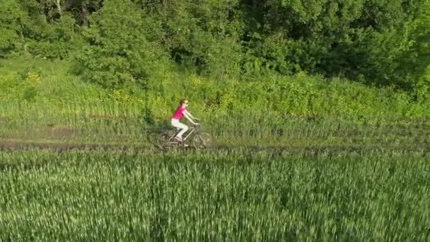 Mignon Jeune Fille Sur Vélo Dans Champ Vert Été Drone — Video
