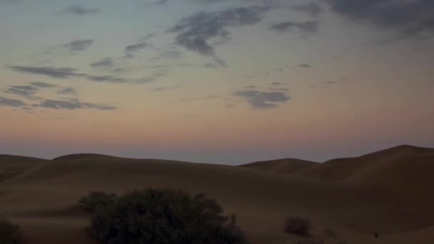 Salida Del Sol Desierto Alquitrán India Panorama Timelapse — Vídeo de stock