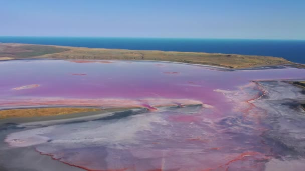 Lacul roz Chokrak lângă Marea Neagră — Videoclip de stoc