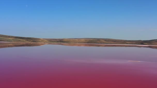 Aerial view of pink Chokrak lake in Crimea — Stock Video