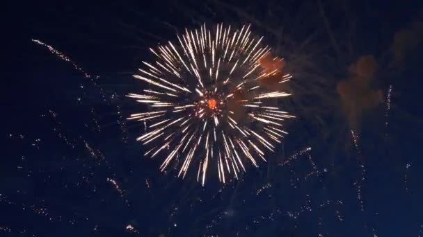 Beautiful Colorful Fireworks Show Night Sky — Stock Video