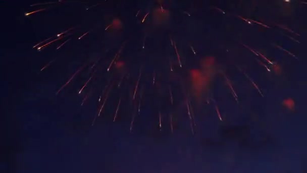 Hermoso Espectáculo Fuegos Artificiales Colores Cielo Nocturno — Vídeo de stock