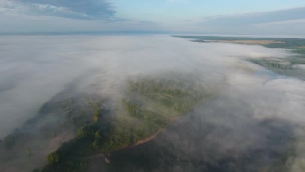 Πτήση Από Ψηλά Πάνω Από Πυκνή Ομίχλη Την Αυγή — Αρχείο Βίντεο
