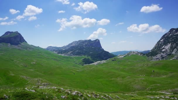 Landschap Met Bergen Het Park Durmitor Montenegro Timelapse — Stockvideo