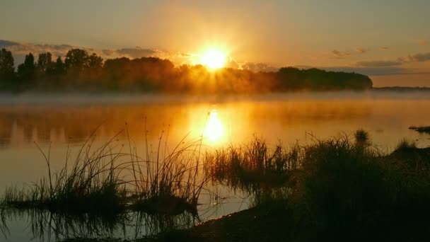 Paysage Avec Lever Soleil Sur Rivière Dans Brouillard — Video